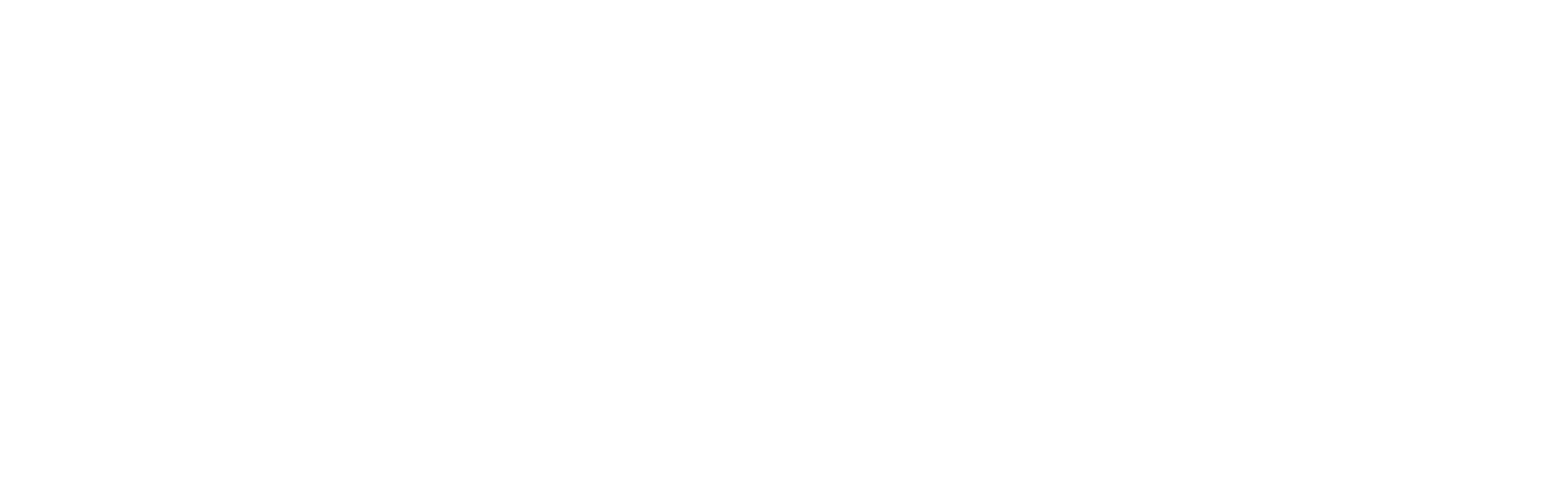 이디스드론 로고